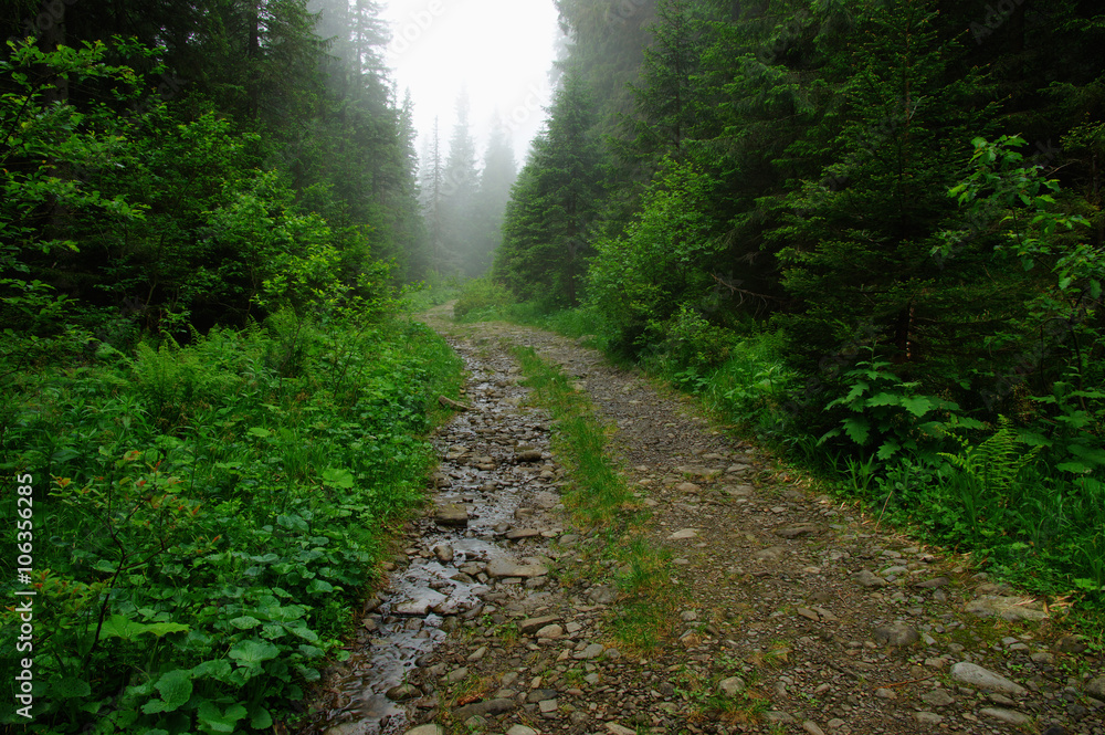 山中石路