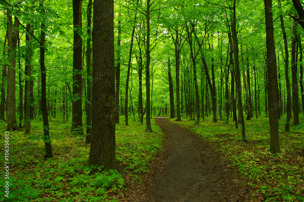 green forest