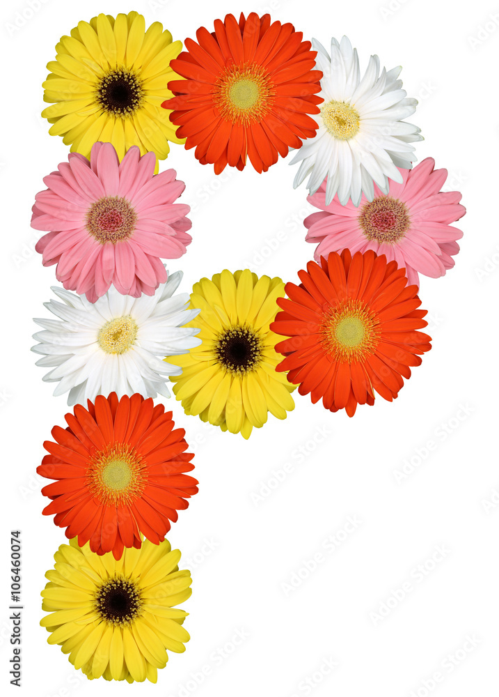 Buchstabe P Alphabet aus Blumen Freisteller auf weiss