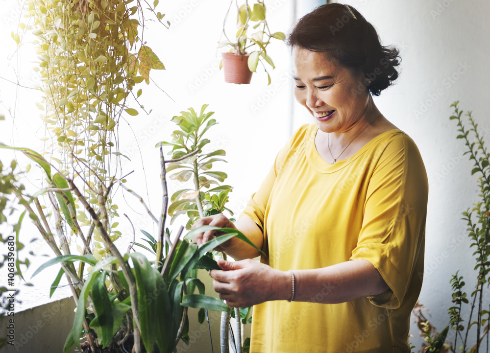 种植园成长家庭主妇活动理念