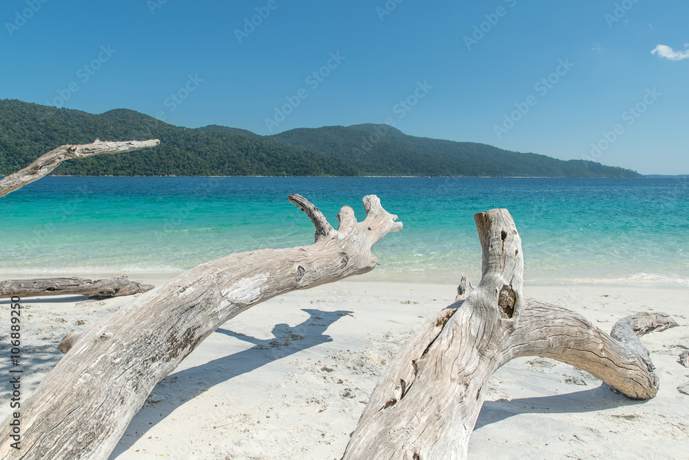 夏季、旅游、度假和度假概念-白木上