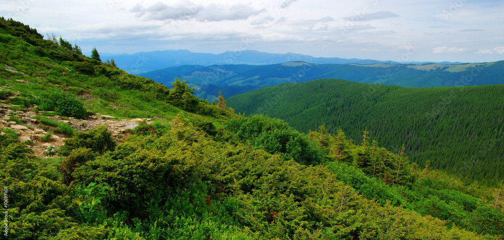 夏日山景