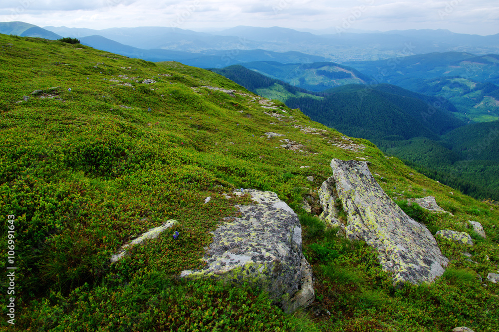 Mountain landscape in summer