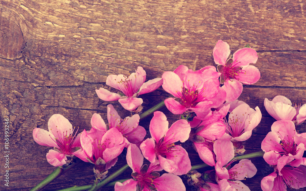 Spring blossoms