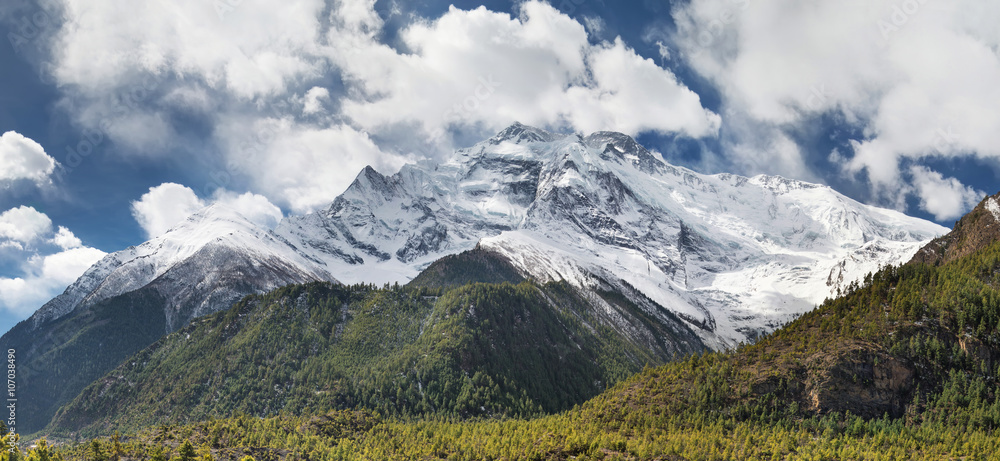 夏季的高山山脉和森林。美丽的自然景观