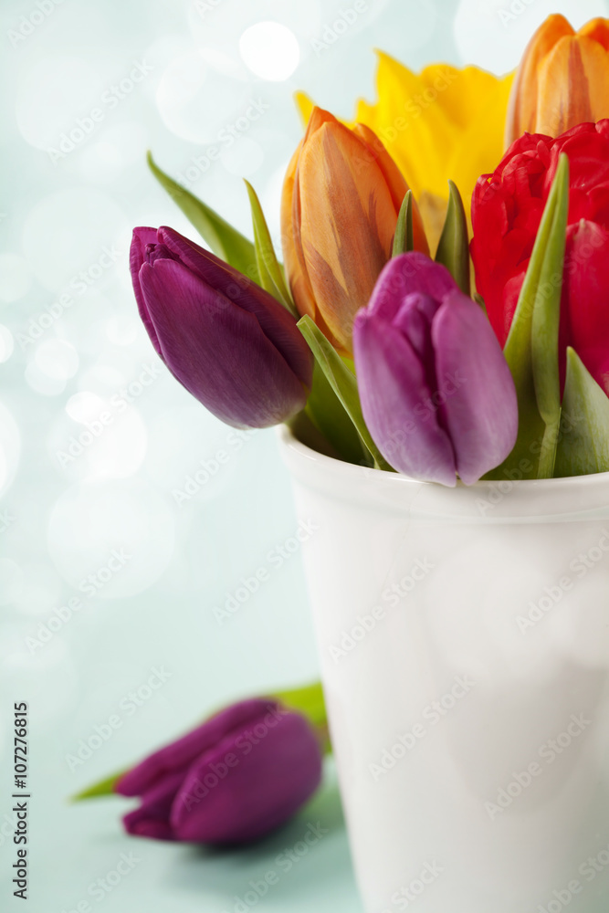 Spring flowers on blue background