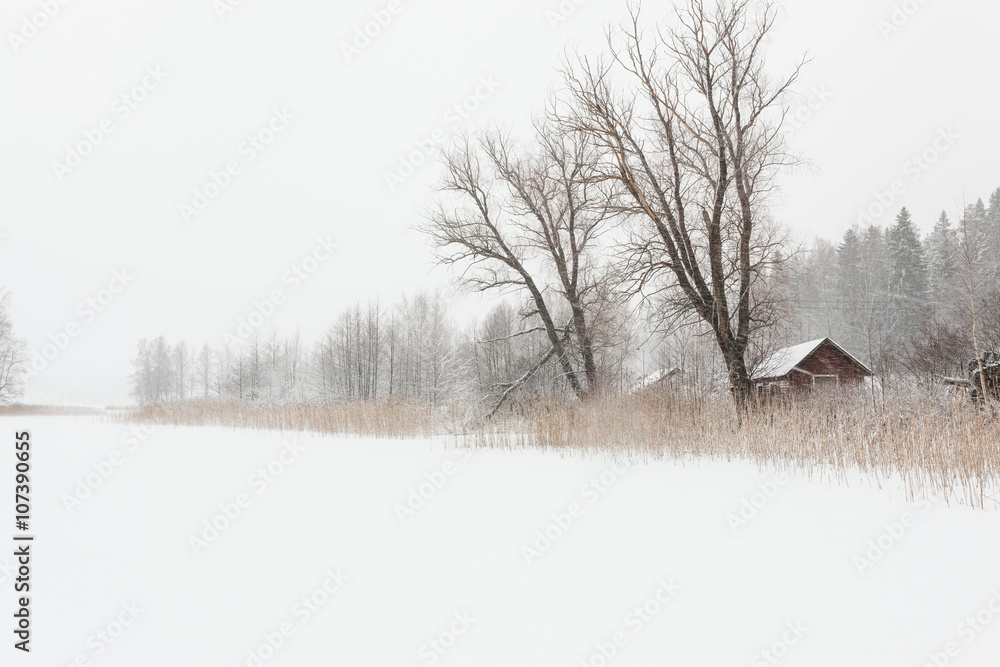 冰雪湖暴雪冬季景观