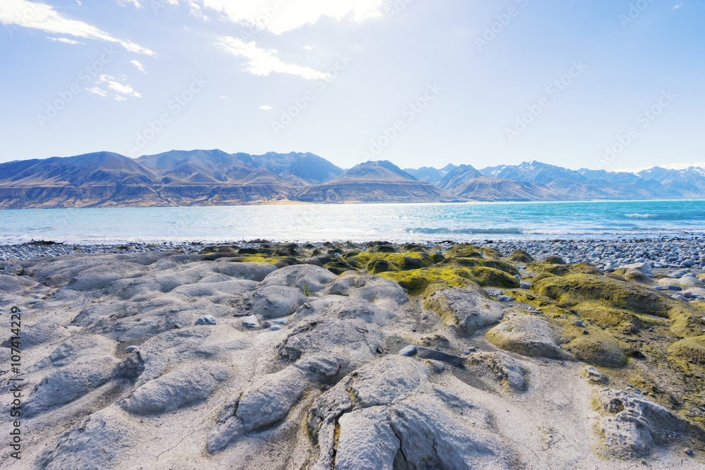 新西兰夏日湖边的地面