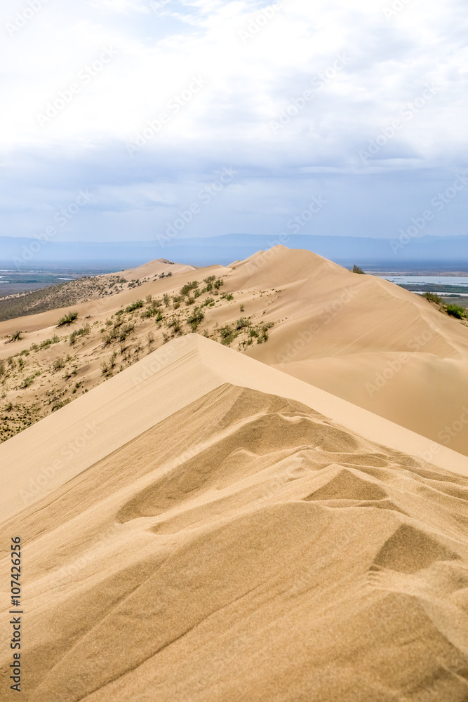 sand dune with bushes on a background of mountains