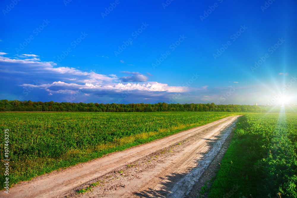 Green Field and Beautiful Sunset