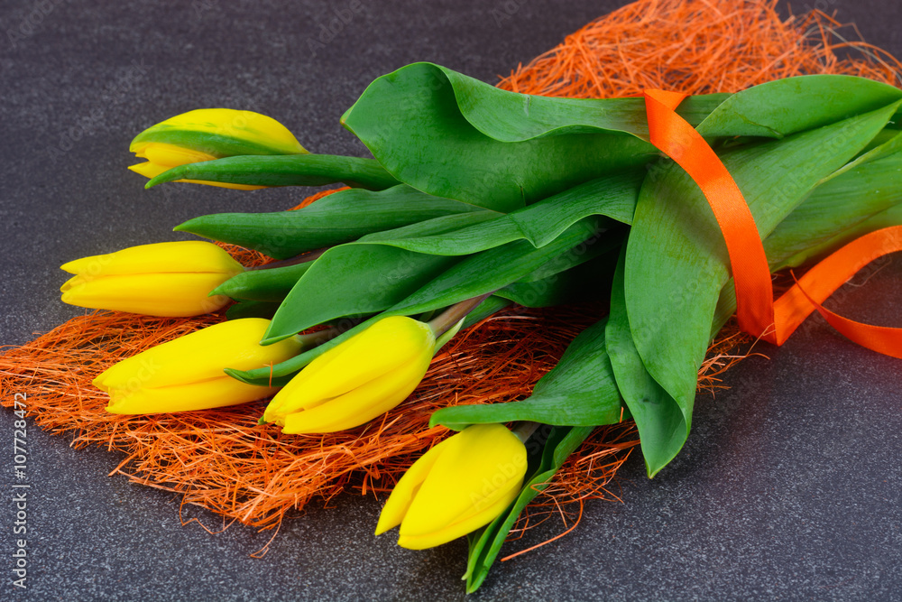  Beautiful Yellow tulips on Dark Background