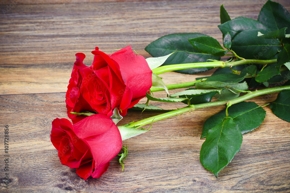 Beautiful Red Roses Flower on Wood