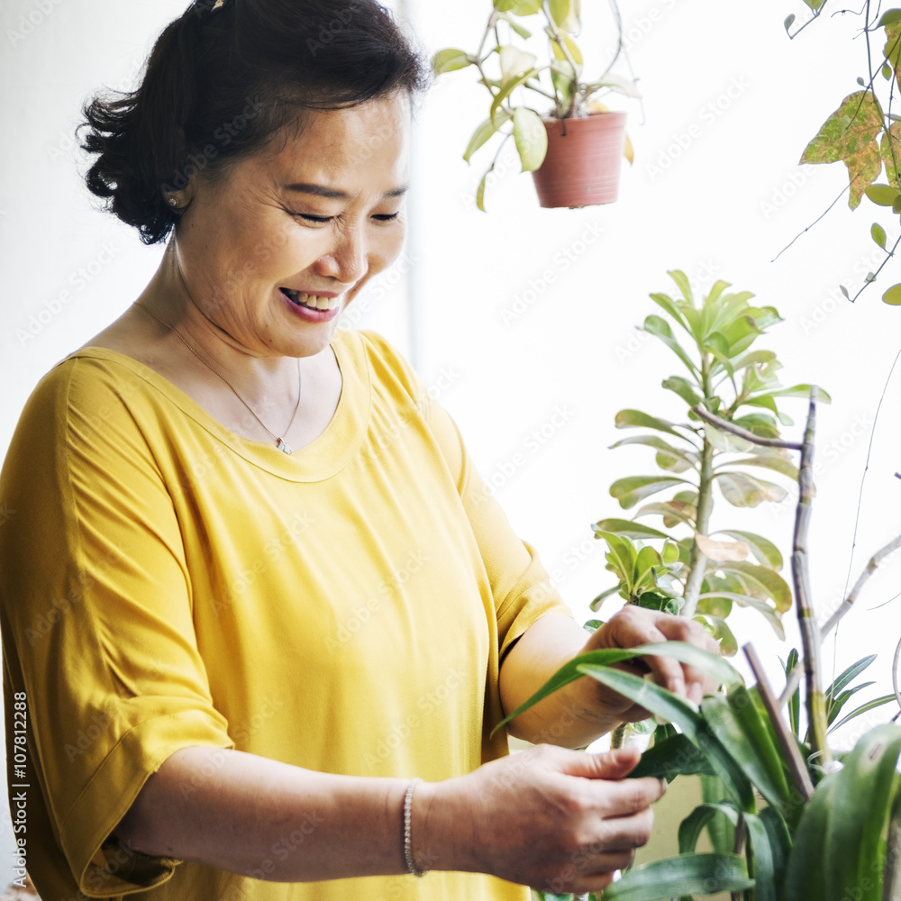 种植园成长家庭主妇活动理念