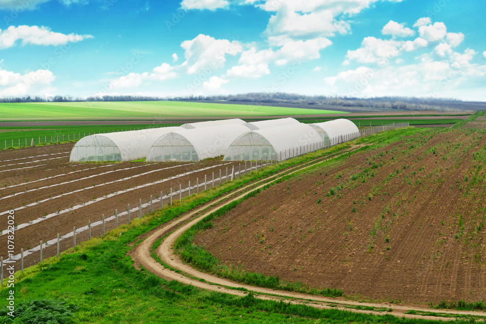 Greenhouse farming, cultivated landscape with arable soil