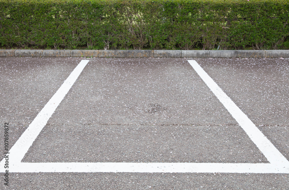 Empty Space in a Parking Lot with flower falling ..