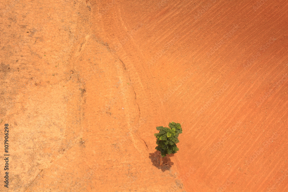 forest destruction with rainbow in thailand form Aerial view