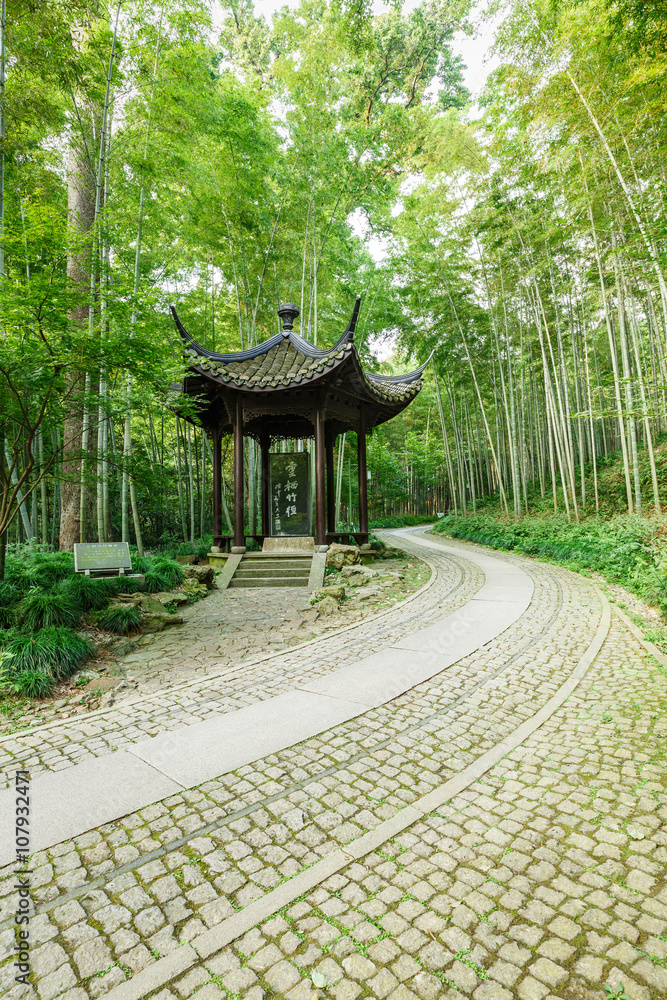 中国杭州著名风景区竹林步道