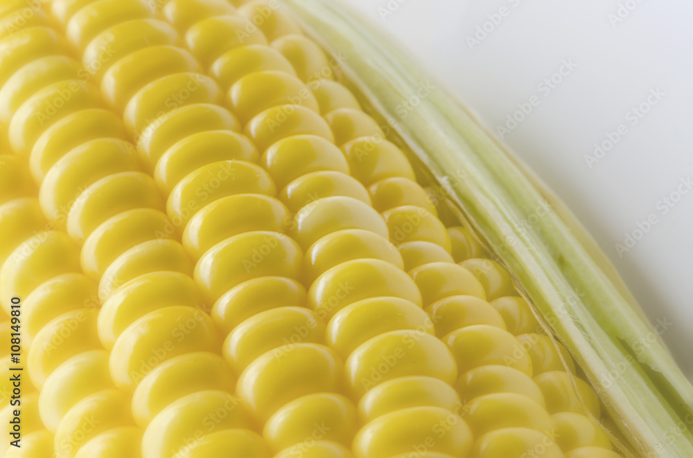 Close up  Corn on white background