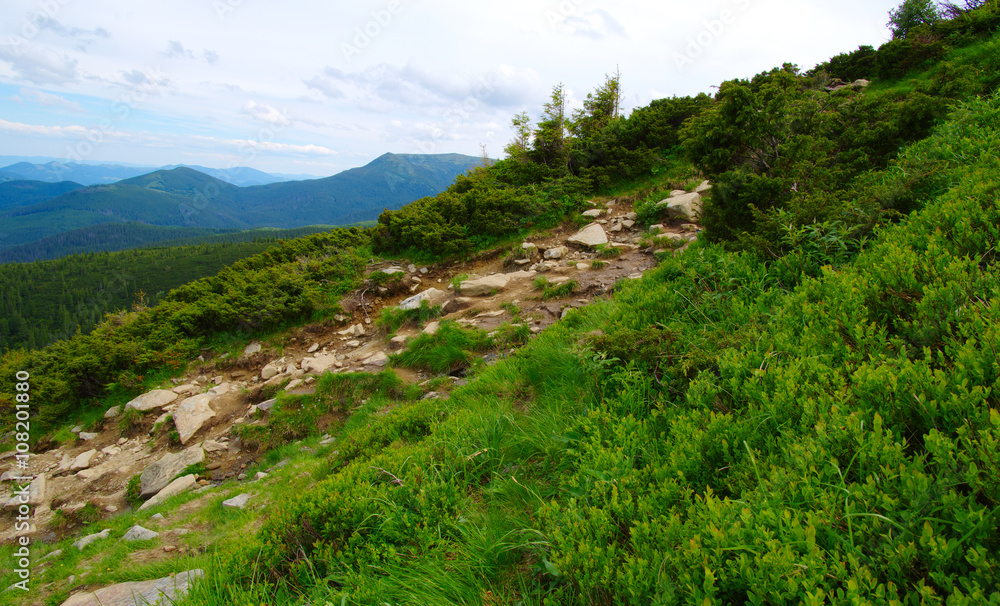 夏日山景