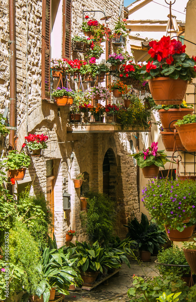 Viale addobbato con piante e fiori