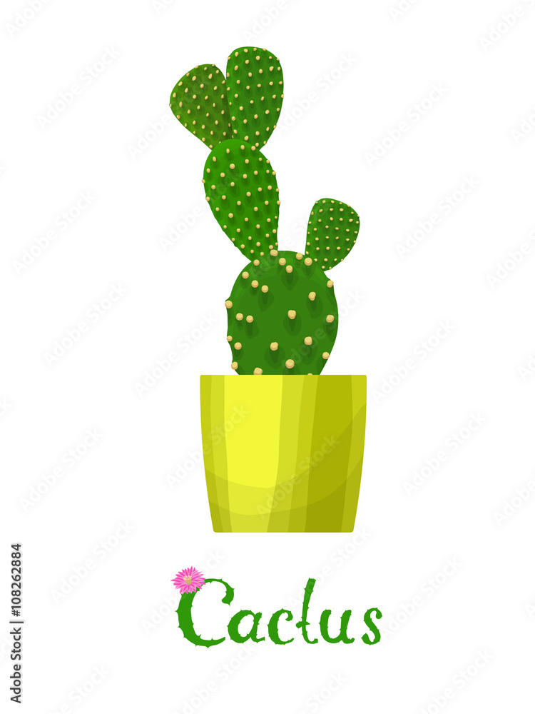 Cactus plant. Vector illustration. House cactus on a pot