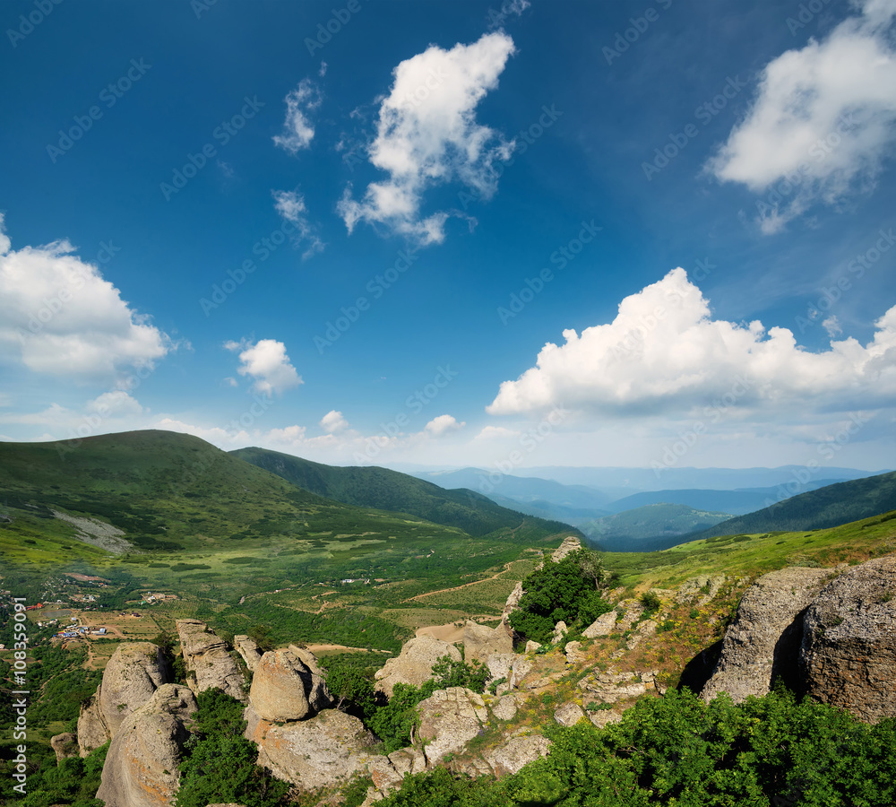 夏日山谷。美丽的自然景观