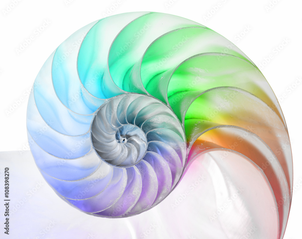 Regenbogenfarben的Nautilus