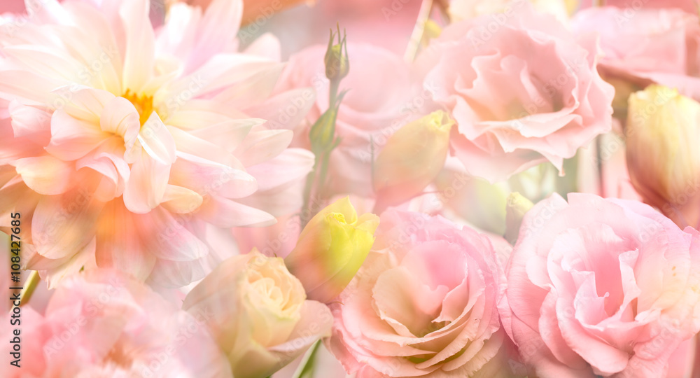 Pink peony flower background