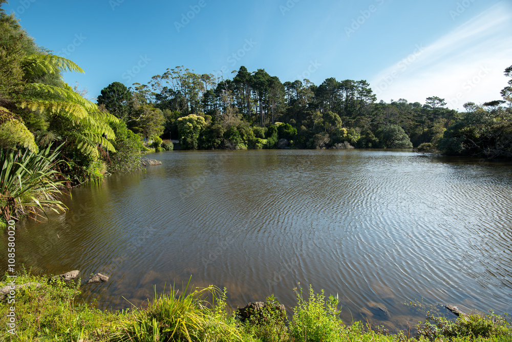 Lake on a sunny day