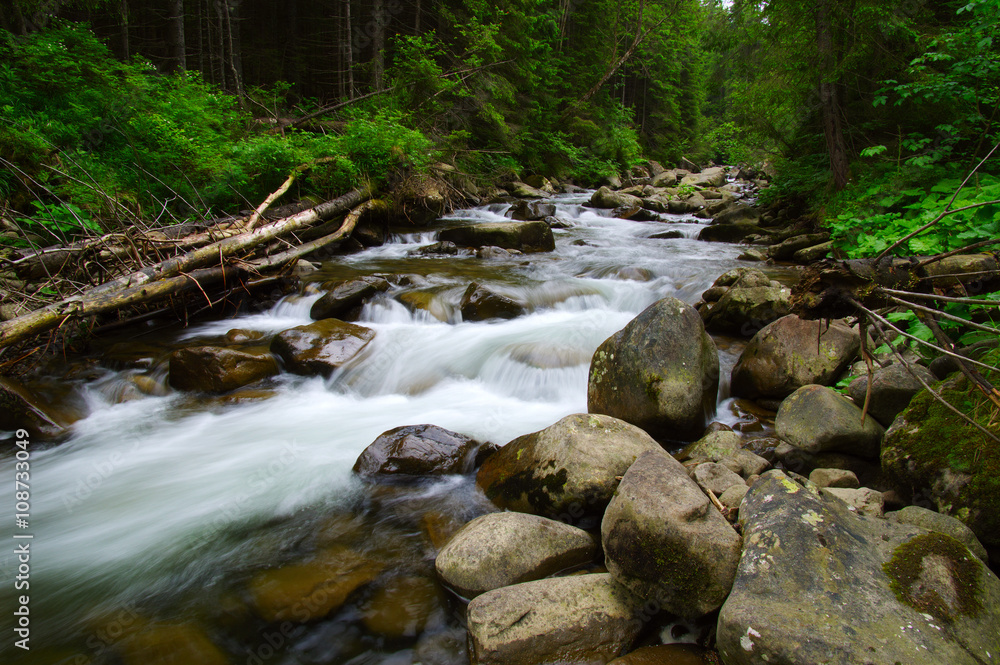 Mountain river in the green forest