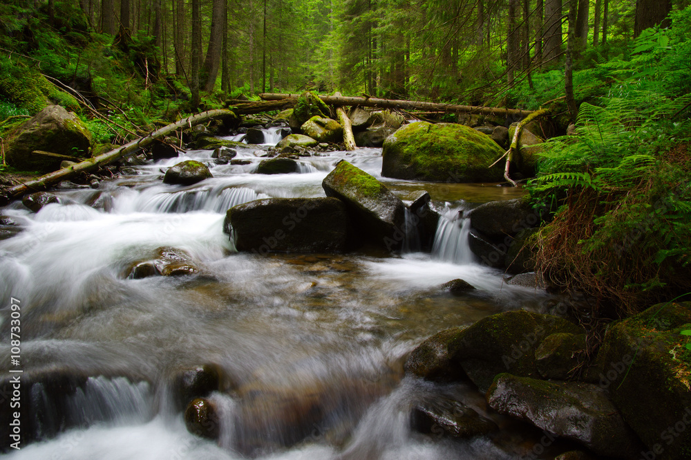 Mountain river in the green forest