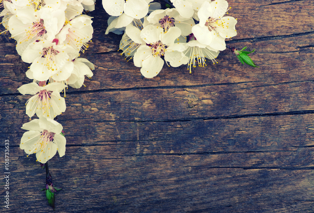 Spring blossoms