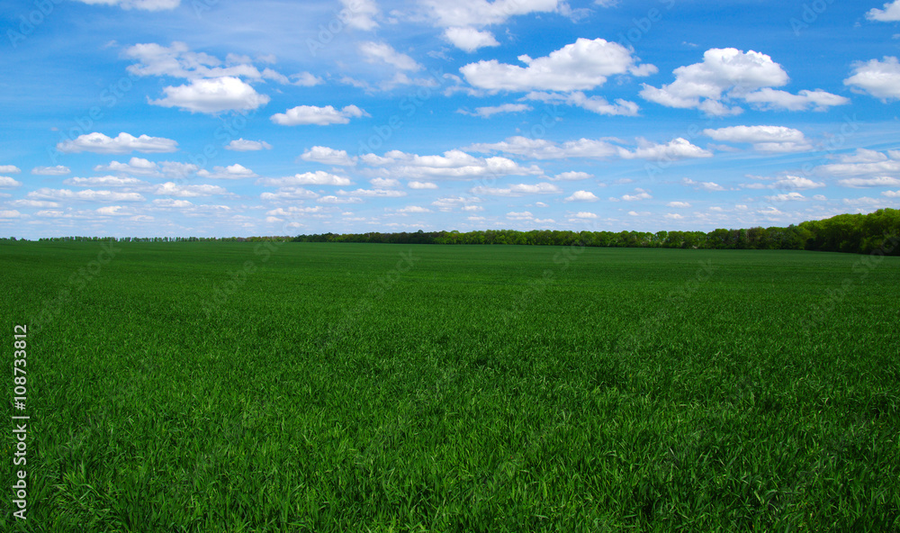 green field