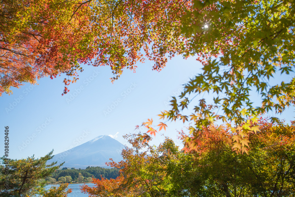 秋季河谷湖的秋树和富士山