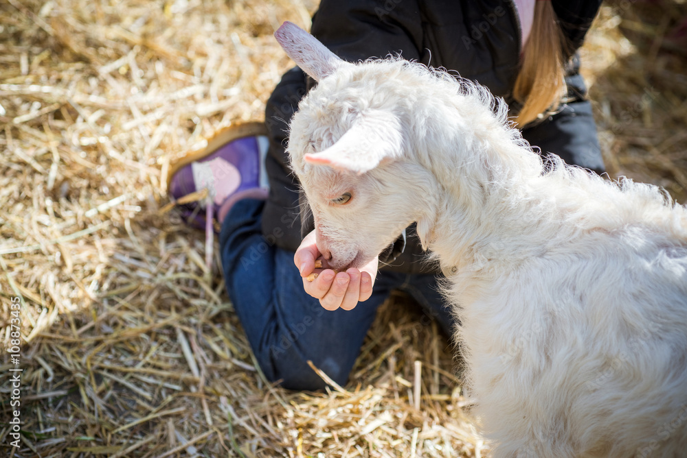 baby feeds with kid hands
	