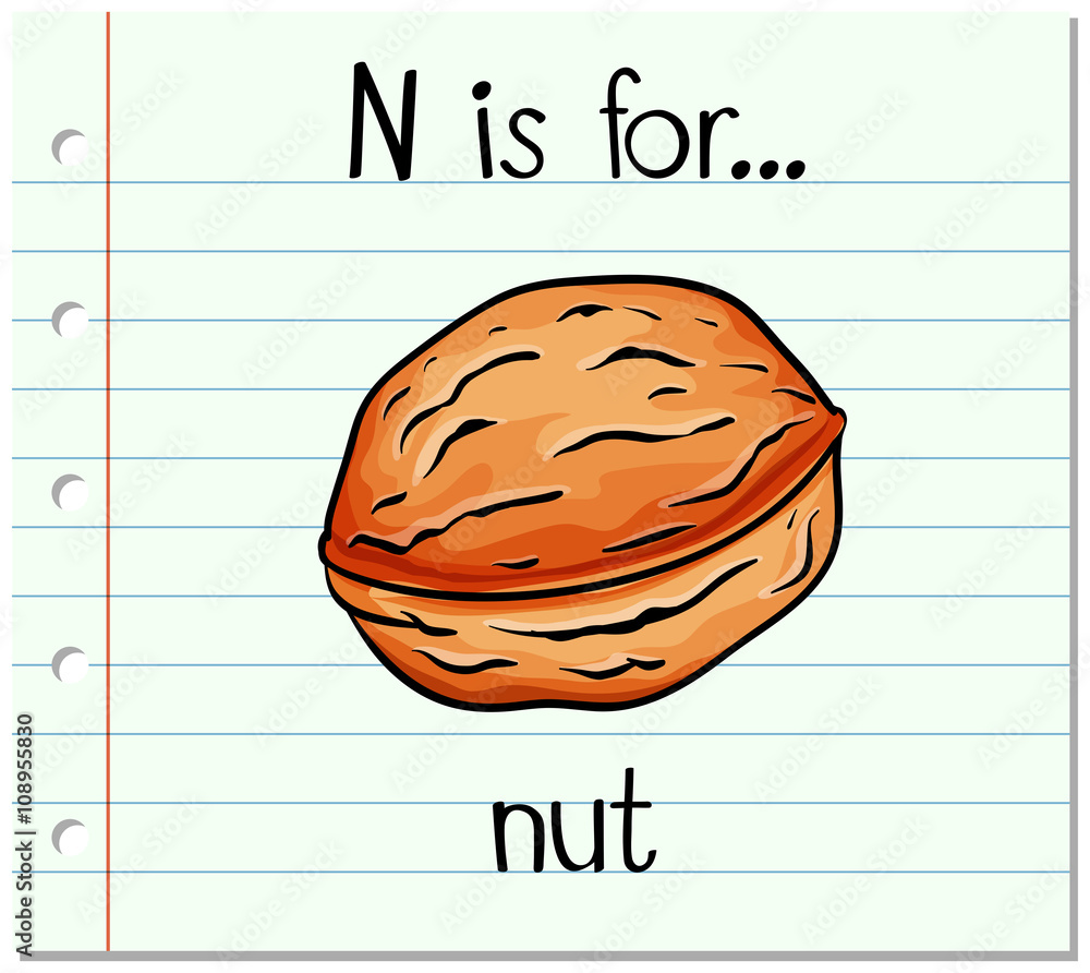 Flashcard letter N is for nut