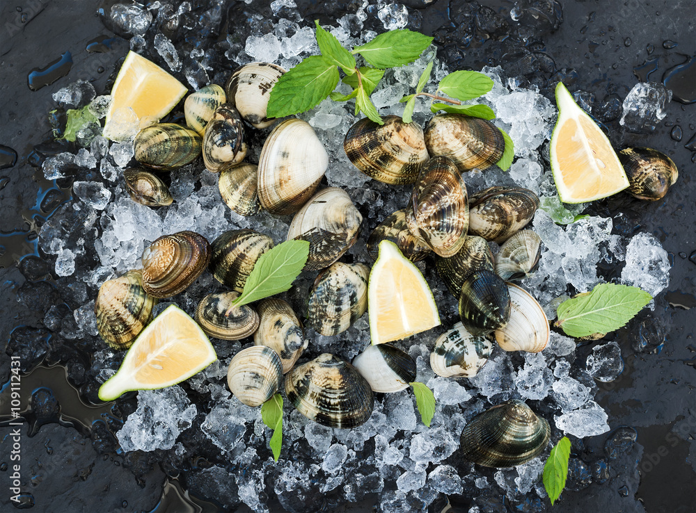 Fresh uncooked clams with lemon, herbs and spices on chipped ice over dark slate stone backdrop