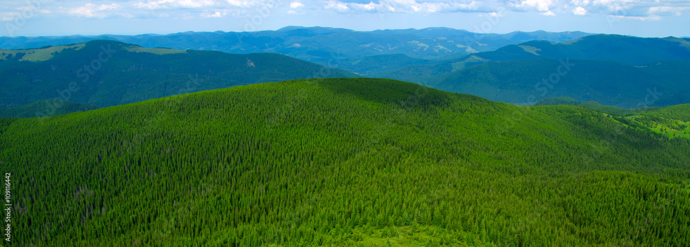 夏日山景