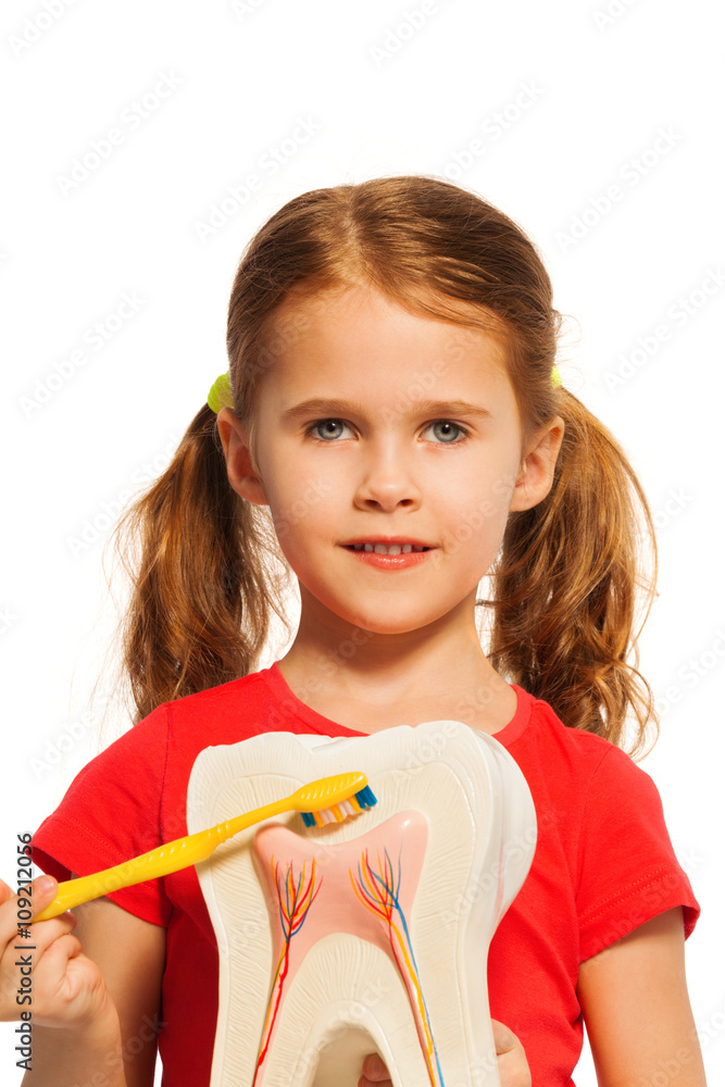 Girl with pigtails holding tooth model and brush