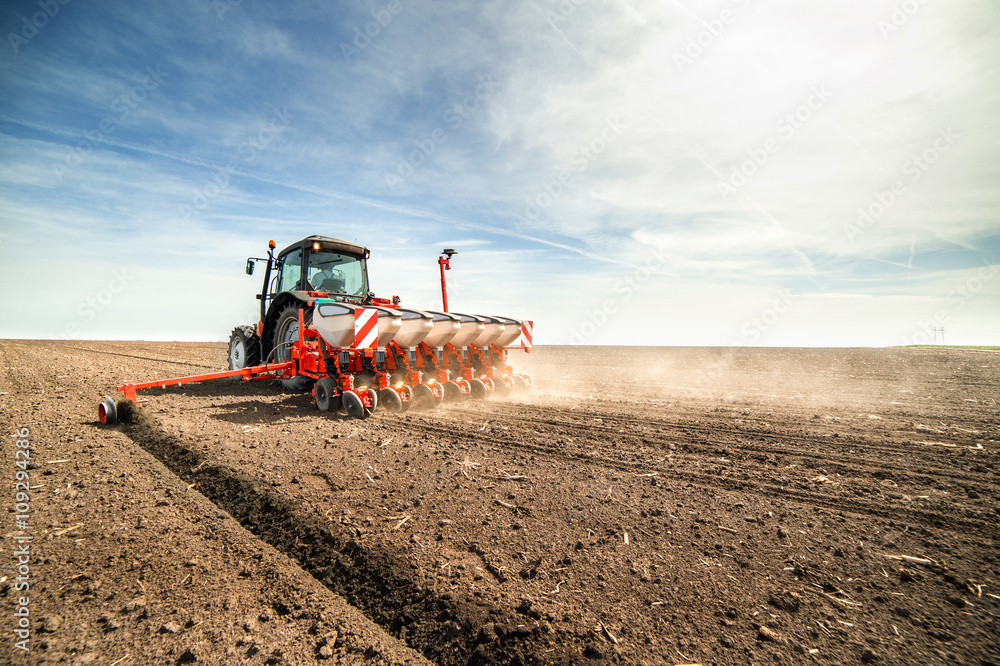 seeding crops at field