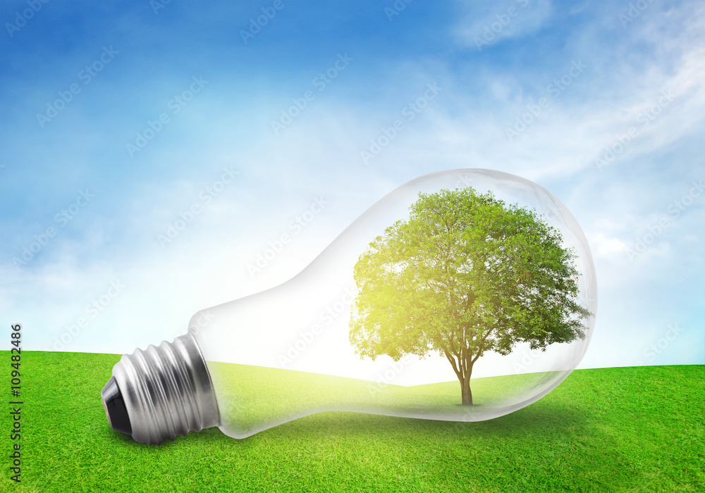 Tree in electric bulb on grassland. Eco energy concept.