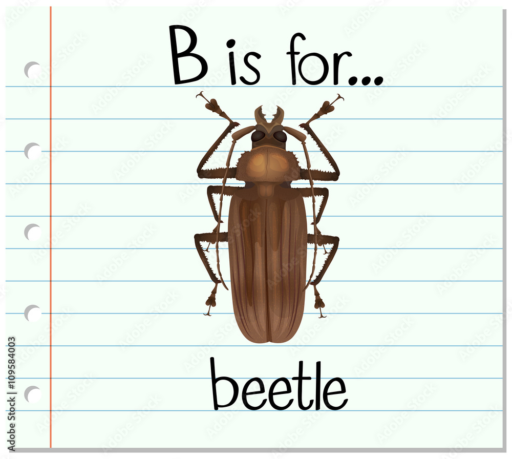 Flashcard letter B is for beetle