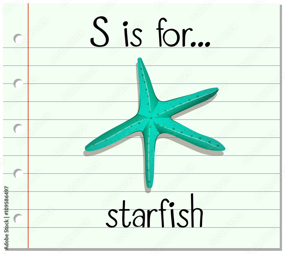 Flashcard letter S is for starfish