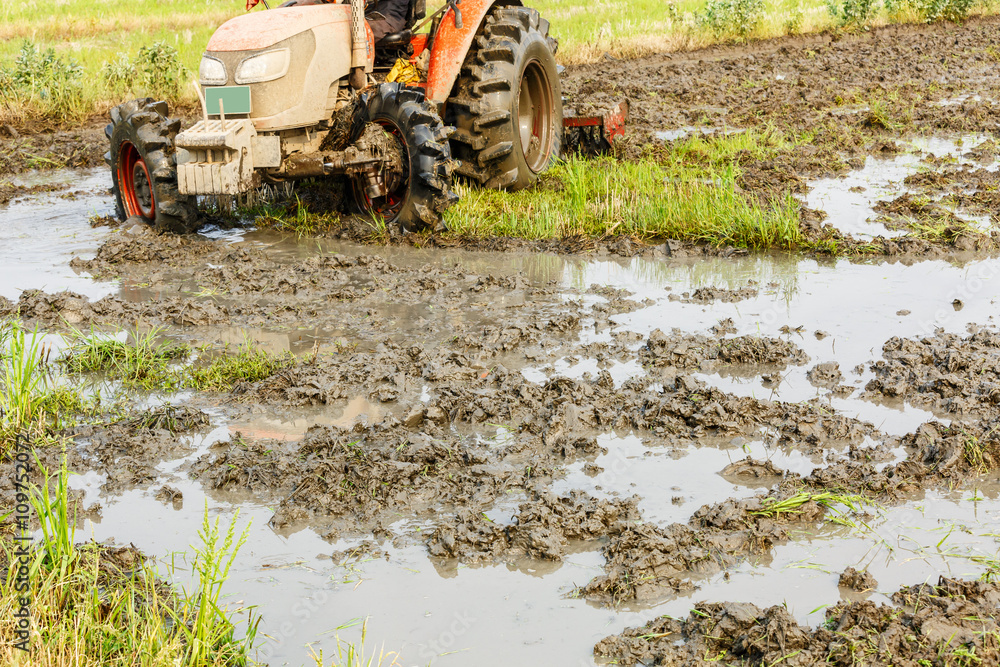 Agricultural tractor cultivated land in the paddy fields