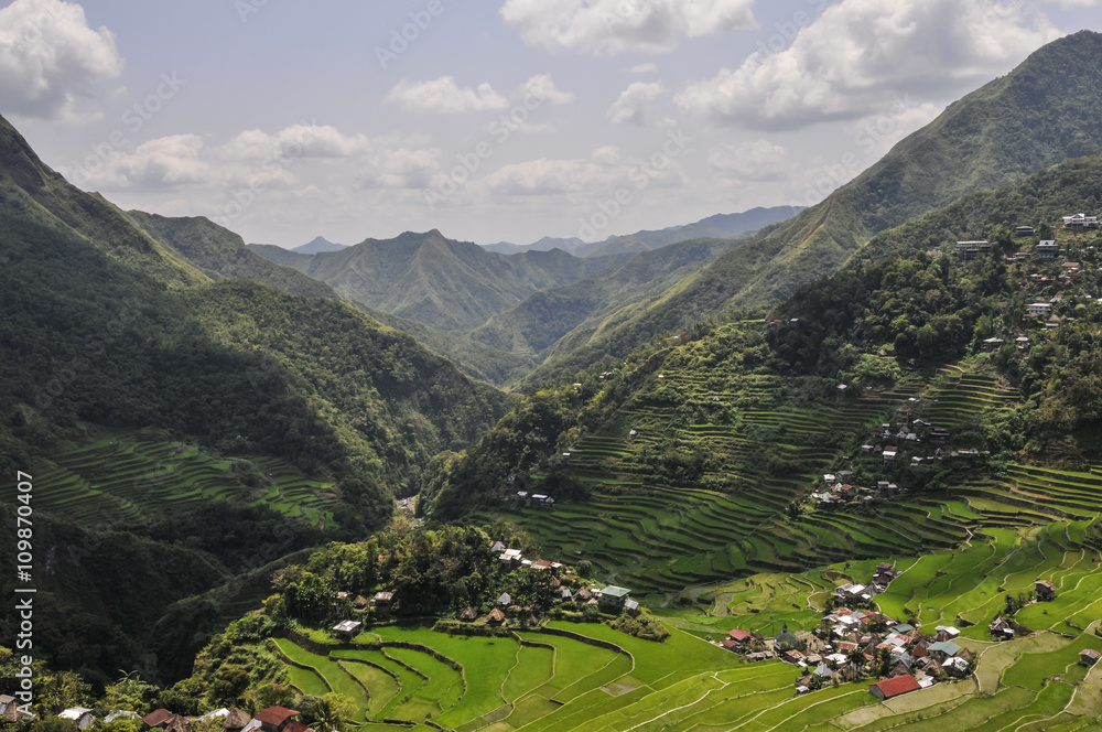 Reisterrassen / Reisterrassen in der Umgebung von Batad auf der Insel Luzon, Philippinen.