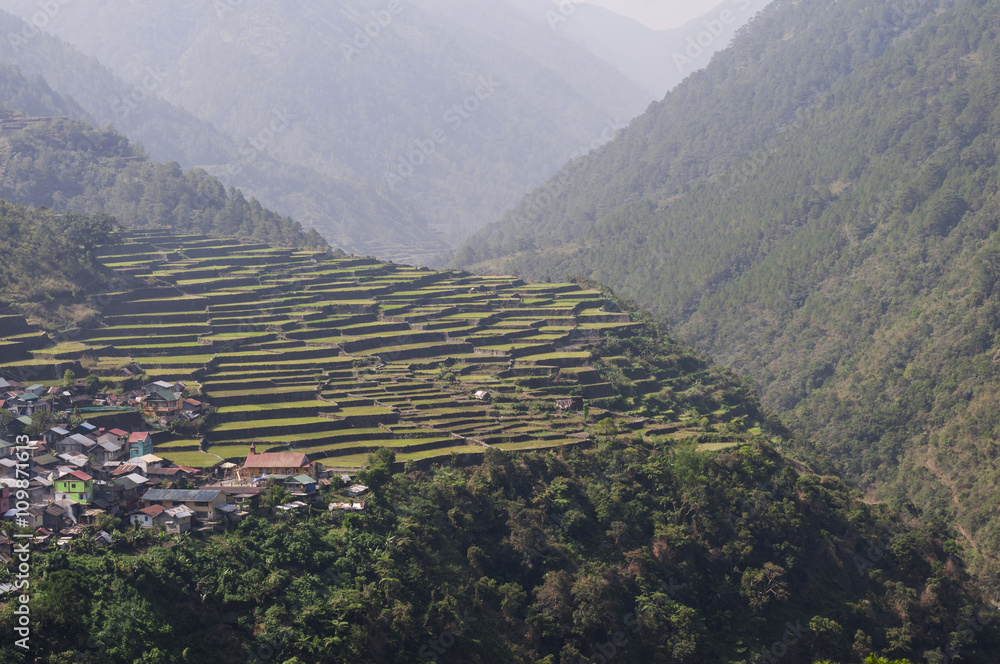 Reisterrassen/Reisterrasen在菲律宾吕宋岛Insel的Umgebung von Banaue auf。