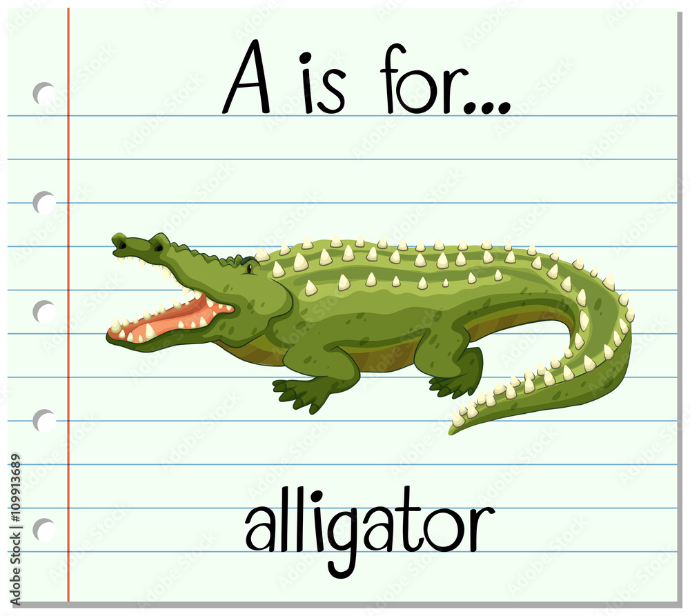 Flashcard letter A is for alligator