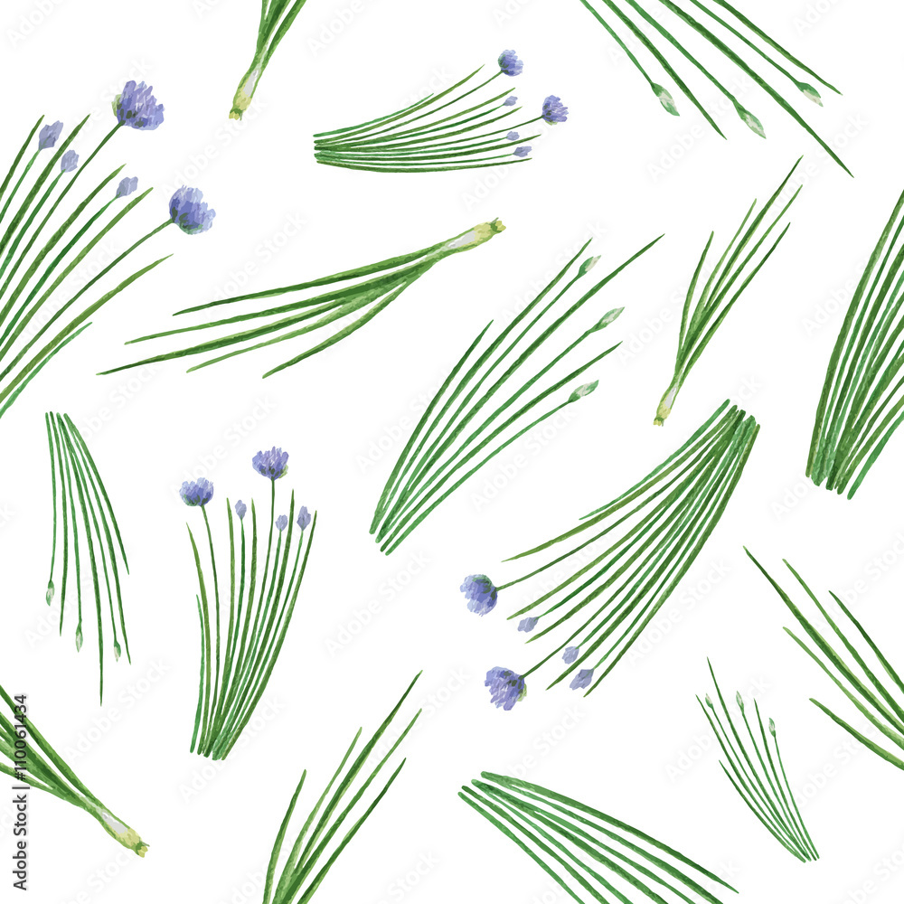 Watercolor seamless pattern hand drawn herb chives.