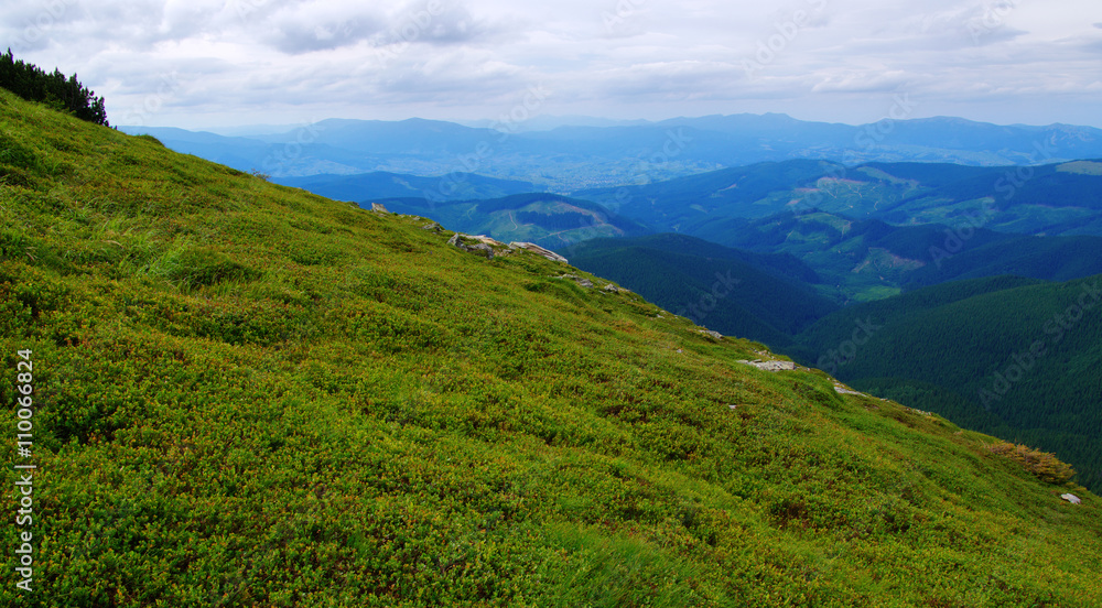 夏日山景