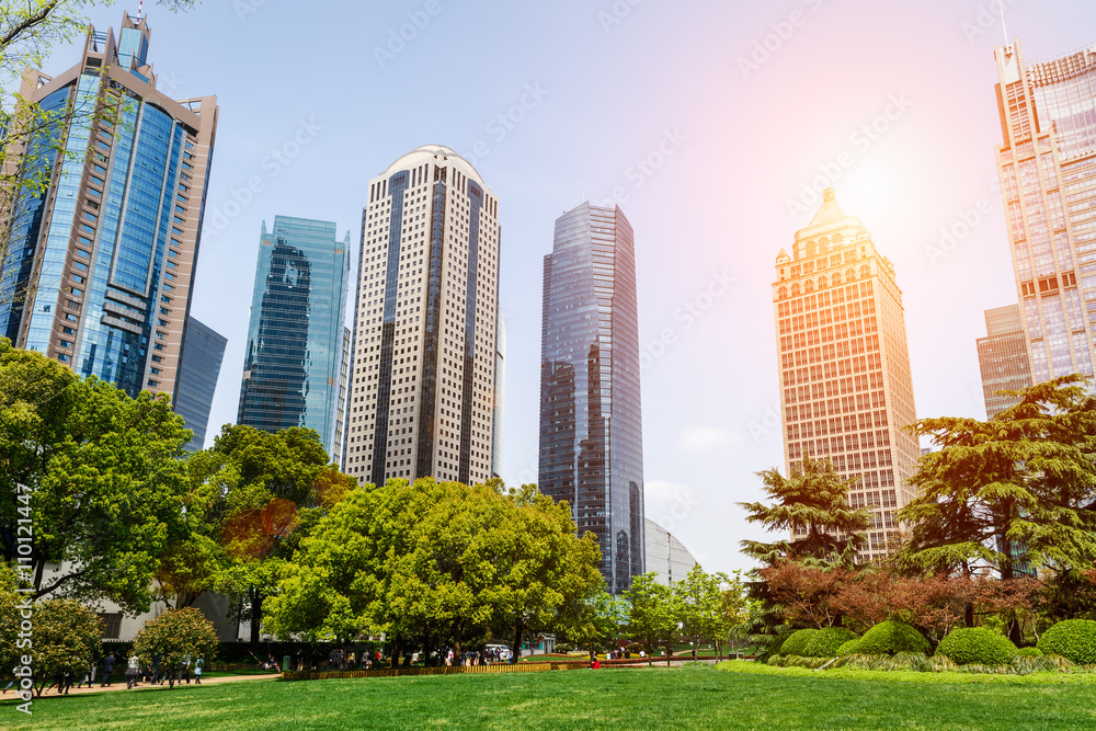 greenbelt park in Lujiazui financial center，Shanghai，china